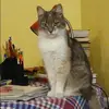 Отзыв от Любовь Сальникова